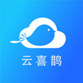 云喜鹊 v1.0.0