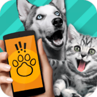 pettranslator宠物对话翻译app