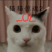 猫猫惊魂2OL重置版 v1.0