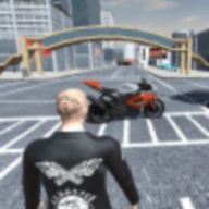 黑帮驾驶Indian Gangster Driving 3D v3.0.1